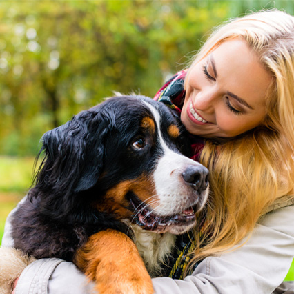 L'arthrose chez le chien: ce qu'il faut savoir