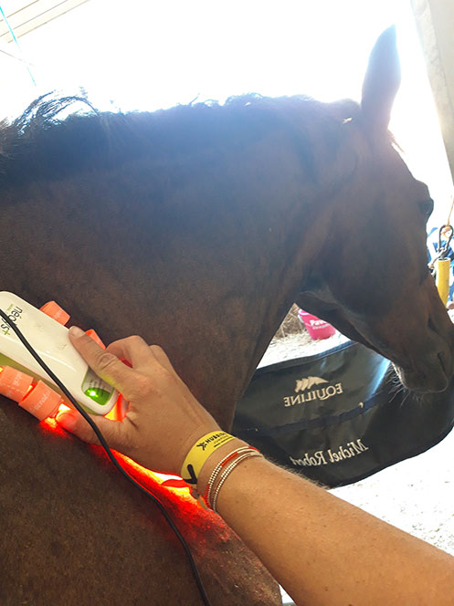 Comment apprendre à monter à cheval - MaFormation